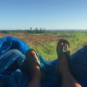 馬車の干し草の上みたい。の画像