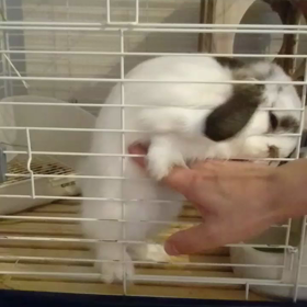 またしても・・の画像