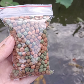 補記2022/08/13貓裏藝文中心の画像