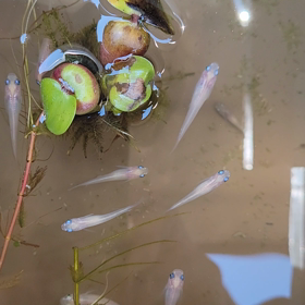 5月4日晴れの画像