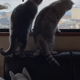 カナブンに夢中な２人。の画像