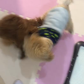 お怒りロイの画像