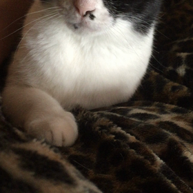 ▶︎よしよしの画像