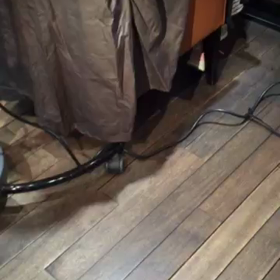 ベビーdayの画像