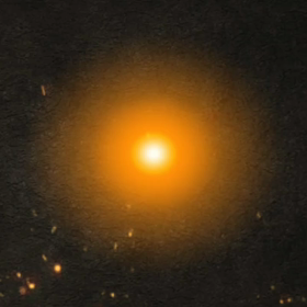 本日です！の画像