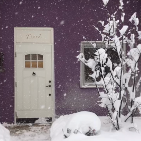 秋田市ホワイトアウトですのでご注意を！の画像