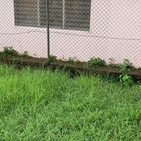 English Diary 14th February 2021の画像