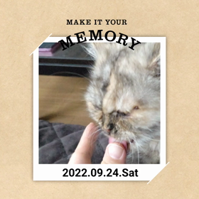 ママの手で………の画像