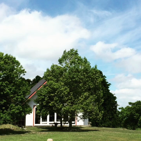 美しき競演の画像