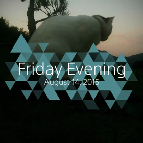 ネコも盆休みの画像