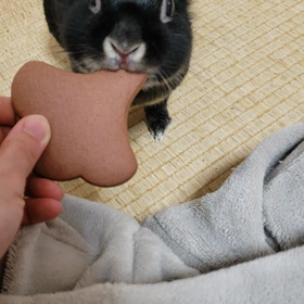 サブレの画像