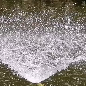 己に勝つ　自分に勝つ（怪獣vs亀）Overcome yourself#動画作成 #動...の画像