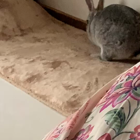 ラリーを続けるコツ☆の画像