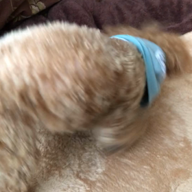 ついに❣️の画像