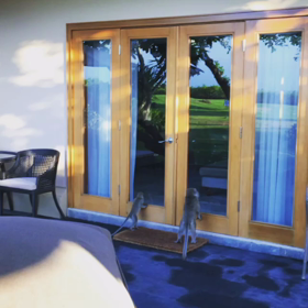 アヤナリゾート＆スパバリの画像