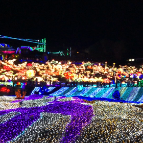 ”伊豆 グランイルミ”の画像