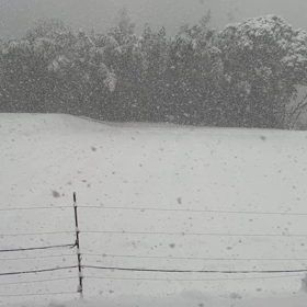 せっかく除雪したのにの画像