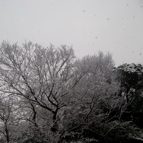 午後4時45分の画像