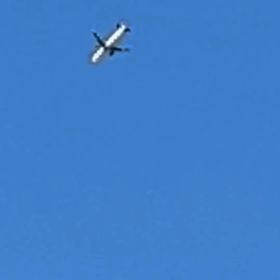 ２回です！の画像