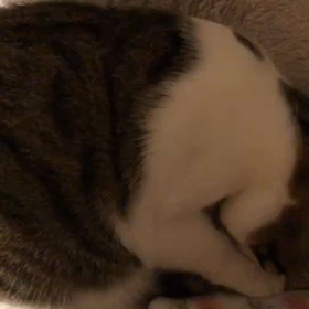 唐突に甘えてきた天音ちゃんの画像