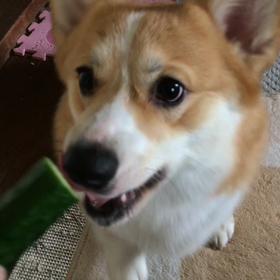 味はどう？の画像