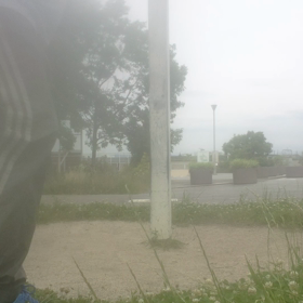 休みの日課の画像