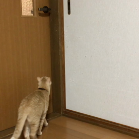 りくの職人技Σ(￣。￣ﾉ)ﾉの画像