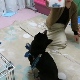 待ても、まだですが…の画像