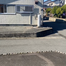 巣離れしたの？　群れますね〜。の画像