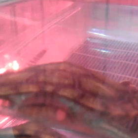 いぢわるな おかぁちゃんの画像