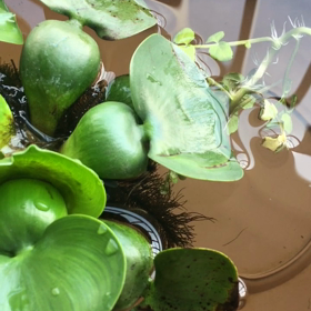 ゴールデンウィークのお休みの画像