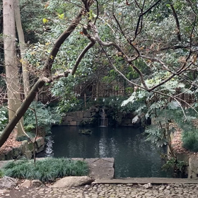 大宮氷川神社よりの画像