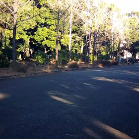 越谷春季記録会リレー選考会(女子)②の画像