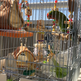 日向ぼっこ♡の画像