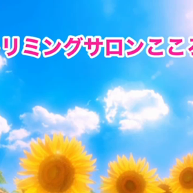 スライドショーの画像