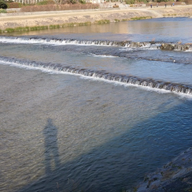 加茂の流れの画像