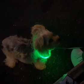 山下公園♡の画像