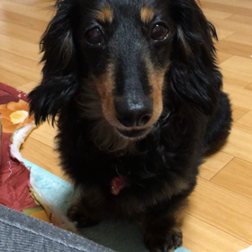 キュンキューンの画像