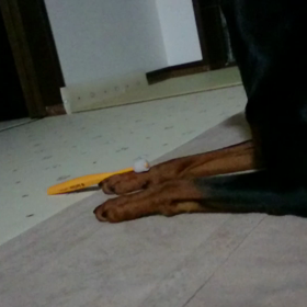 昨夜の出来事。の画像