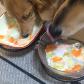 最近の様子。。。の画像