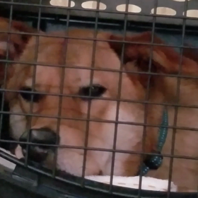 想い　毎日が楽しいの画像