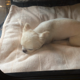 ⬛️8/30〜9/5＊酸素カプセルご利用のお友達⬛️の画像