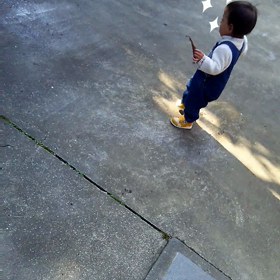 新春仰天映像の画  像