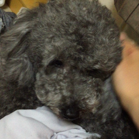 ▶︎ねむたいね〜の画像