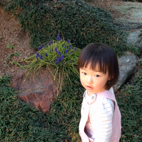 結婚記念日。の画像