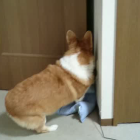 閉めちゃいますの画像