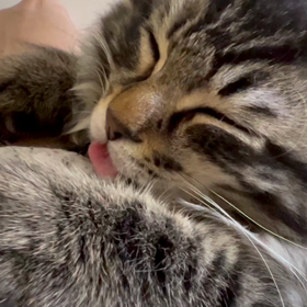 吸ってないよ〜‼︎(^^)の画像