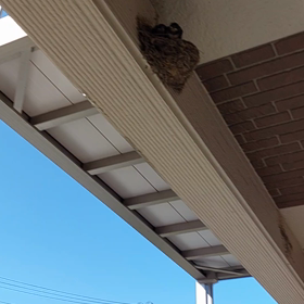 ”2021/06/30”の画像