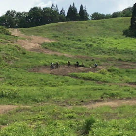 プロラインでトレインの画像