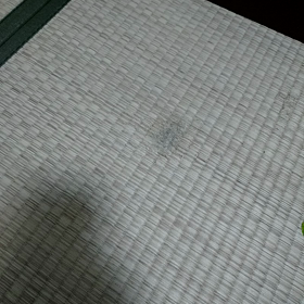 苦肉の策その２の画像